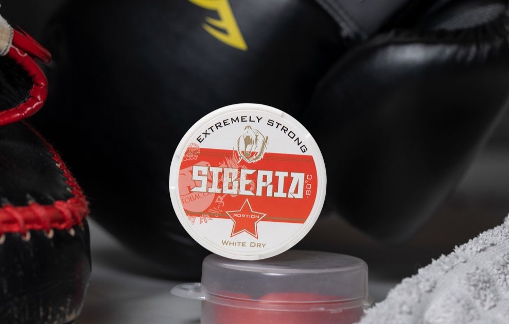 Big Snus Test: Which Ones Are the Most Popular?